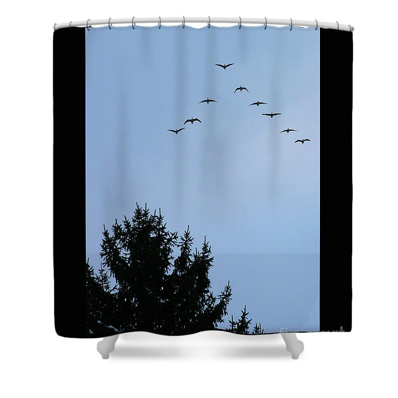 Geese Shower Curtain featuring the photograph Winter Flight by Patricia Overmoyer