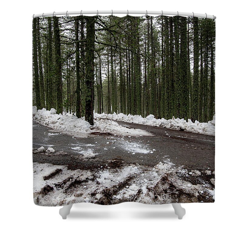 Wintertime Shower Curtain featuring the photograph Winter forest landscape with snow on the ground by Michalakis Ppalis