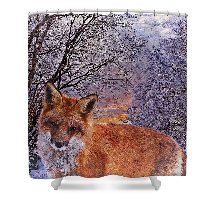 Fox Shower Curtain featuring the photograph Winter Fox by Ally White