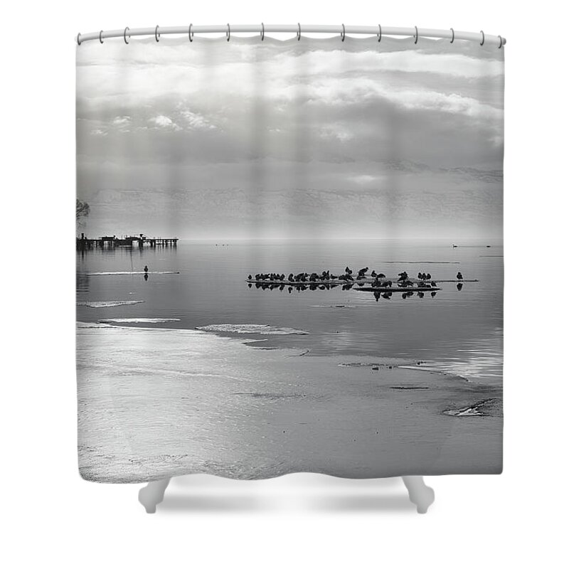 Landscape Shower Curtain featuring the photograph Winter Gulls and Sunrays Black and White by Allan Van Gasbeck