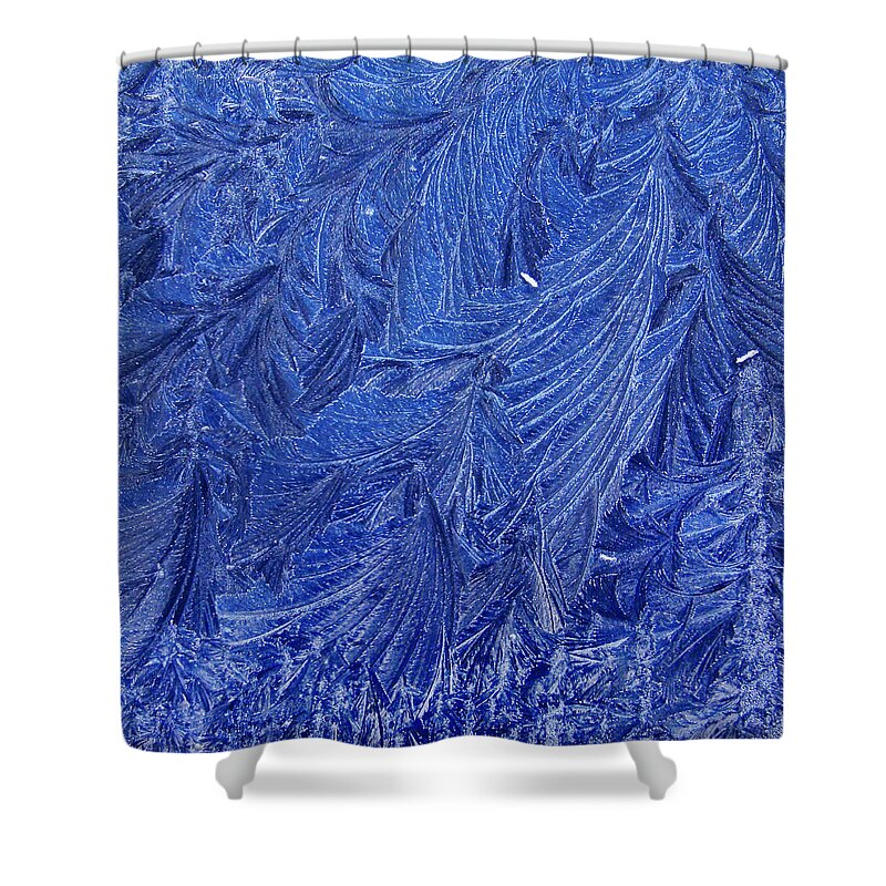 Winter Shower Curtain featuring the painting Winter Hue Of Frozen Blue by World Art Collective