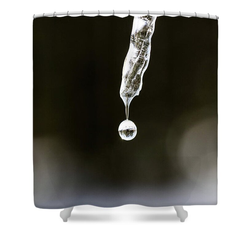 Water Shower Curtain featuring the photograph Winter Icicle Macro 2 by Amelia Pearn
