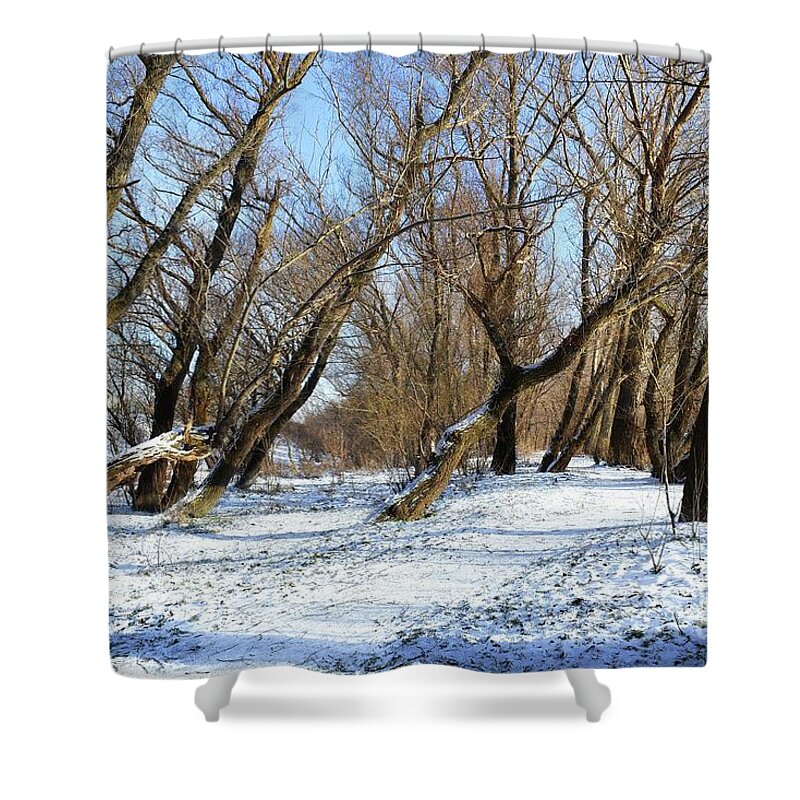 Winter Idyll Shower Curtain featuring the photograph Winter Idyll in a Forest 02 by Leonida Arte