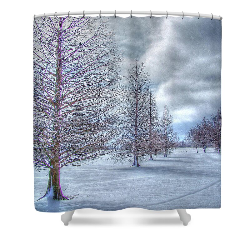 Fine Art Shower Curtain featuring the photograph Winter II by Robert Harris