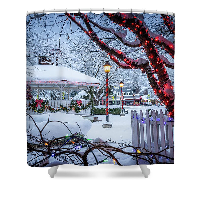 America Shower Curtain featuring the photograph Winter in the Railroad Community Park by Inge Johnsson