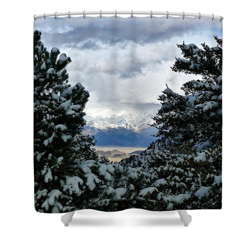 Eastern Sierra Shower Curtain featuring the photograph Winter Peek by Amelia Racca