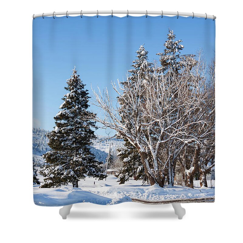 Winter Shower Curtain featuring the photograph Winter scene in Spencer Idaho by Tatiana Travelways