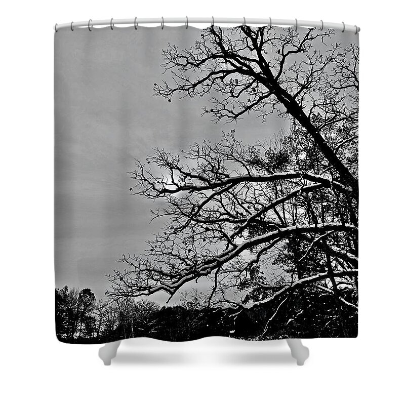 Winter Shower Curtain featuring the photograph Winter Sky by Sarah Lilja