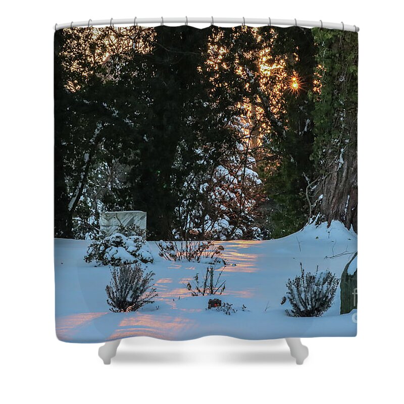 Winter Shower Curtain featuring the photograph Winter Sun at the Cemetery by Eva Lechner