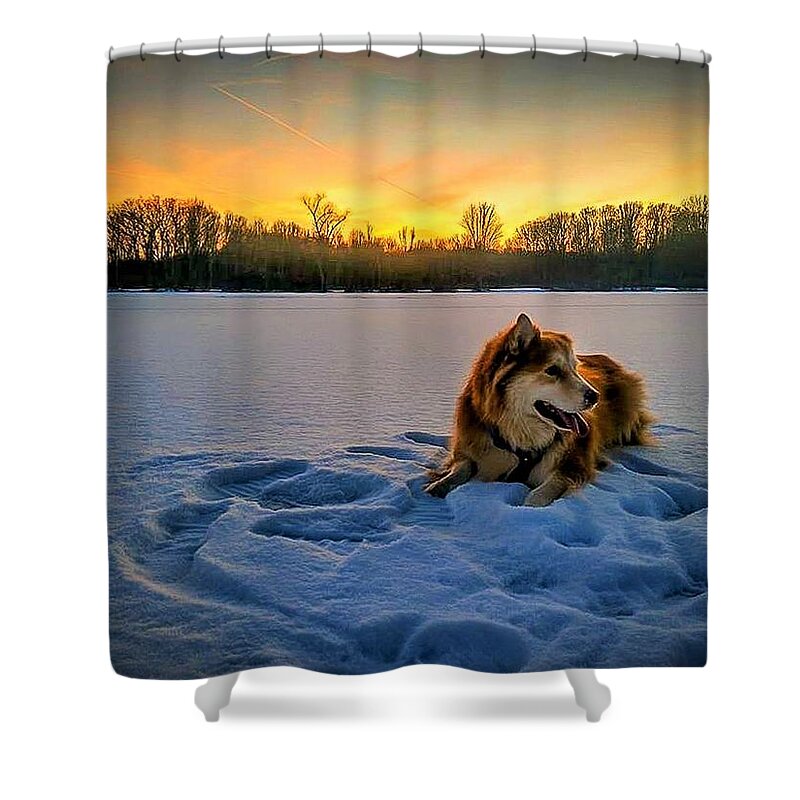  Shower Curtain featuring the photograph Winter Sunset by Brad Nellis