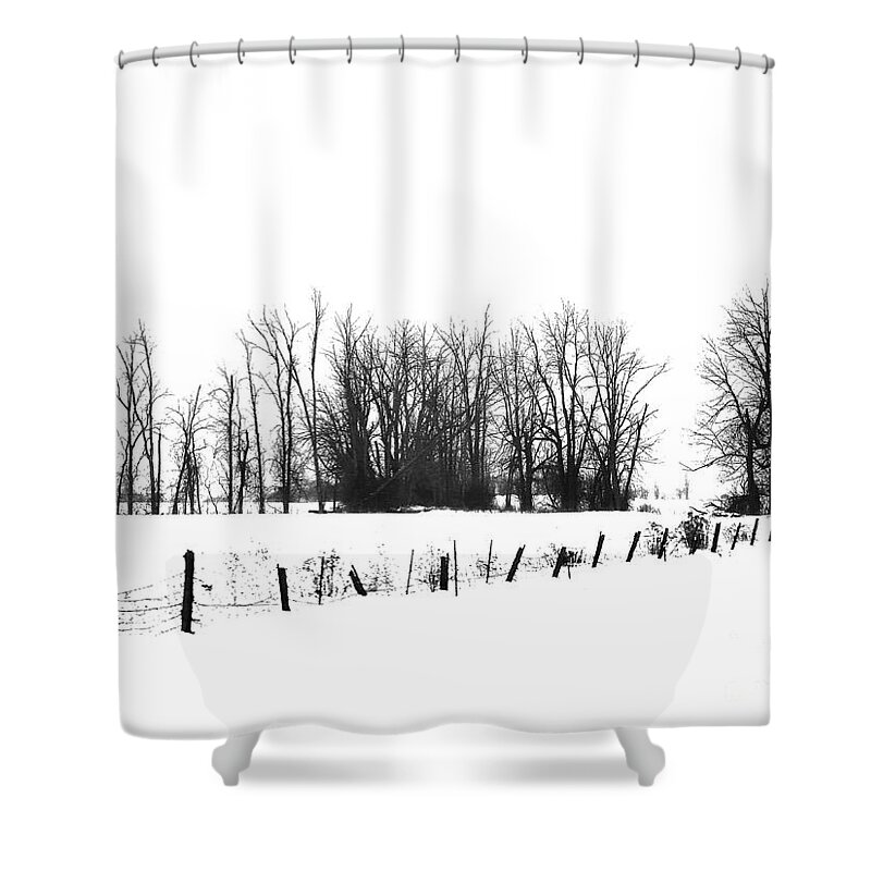Winter Shower Curtain featuring the photograph Winter View by Diana Rajala