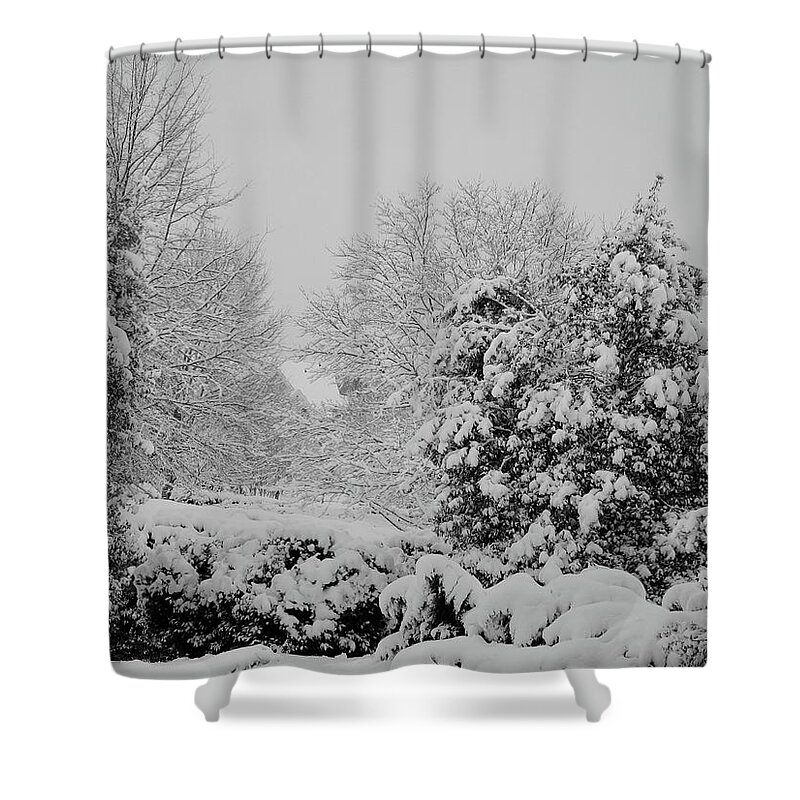 Landscape Shower Curtain featuring the photograph Winter Wonderland by Carol Whaley Addassi