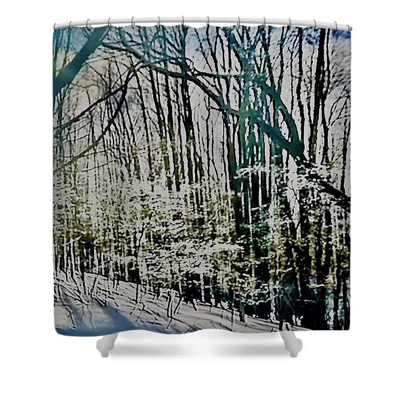 Snow Shower Curtain featuring the photograph Winter Wonderland by John Anderson