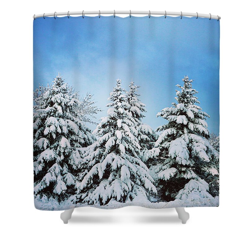 Winter Shower Curtain featuring the photograph Winter Wonderland by Sarah Lilja