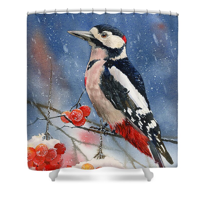 Bird Shower Curtain featuring the painting Winter Woodpecker by Espero Art