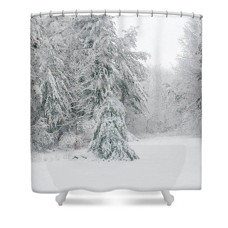 Snow Shower Curtain featuring the mixed media Winterland by Moira Law