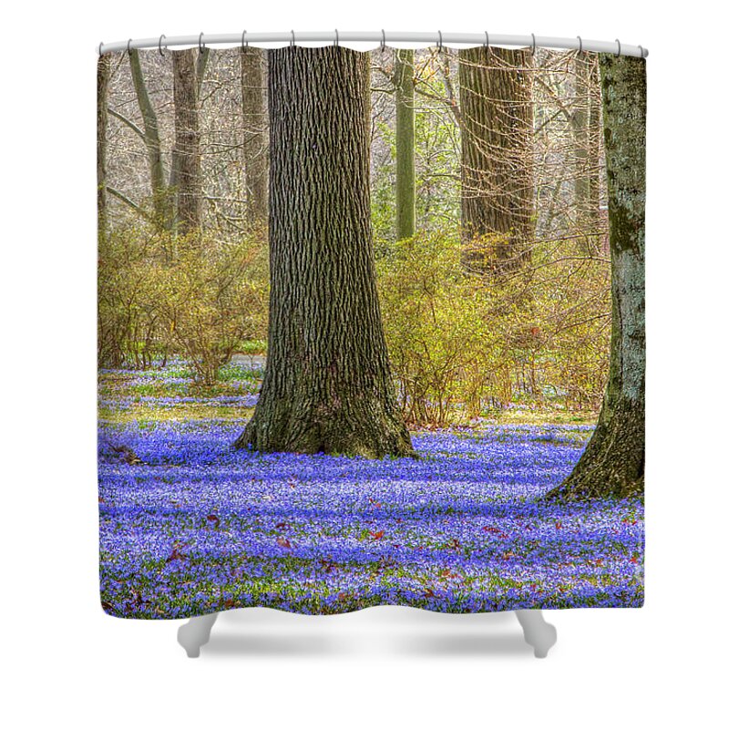 Chinodoxa Shower Curtain featuring the photograph Winterthur March Bank in April by Marilyn Cornwell