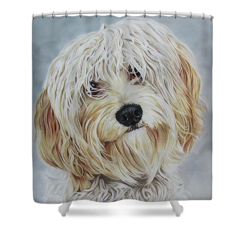 Dog Shower Curtain featuring the drawing Wispy Bangs by Kelly Speros