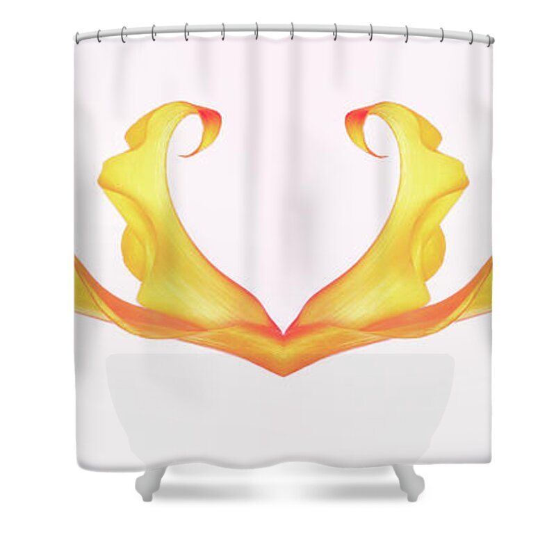 Open Heart Shower Curtain featuring the photograph With Open Heart And Open Arms by Elvira Peretsman