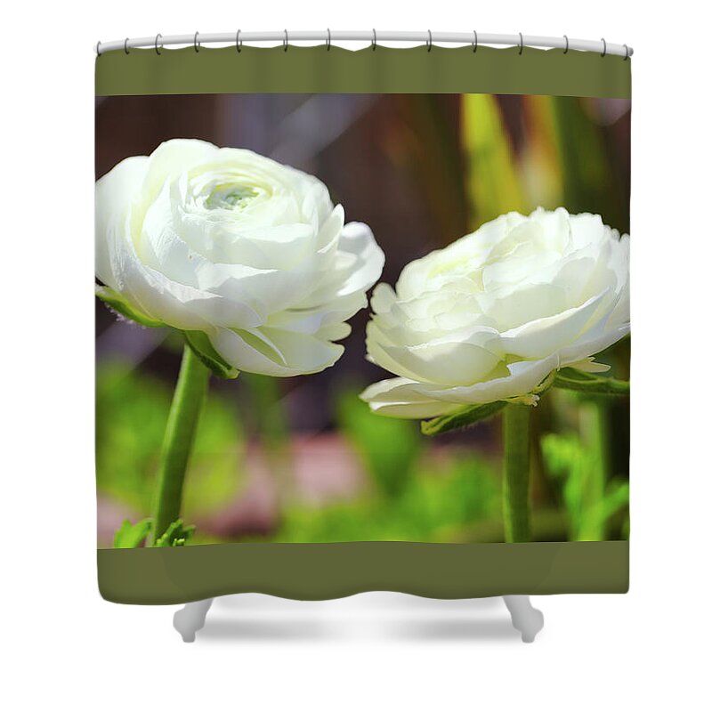 White Color Shower Curtain featuring the photograph Wonderful White by Scott Burd