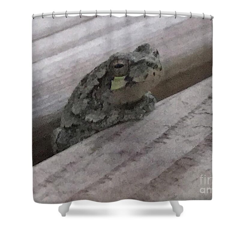 Wood Frog Shower Curtain featuring the photograph Back Porch Wood Frog Lateral by Mary Kobet