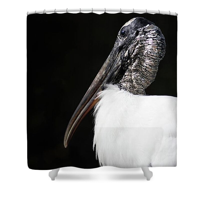 Wood Stork Shower Curtain featuring the photograph Wood Stork by Rebecca Herranen
