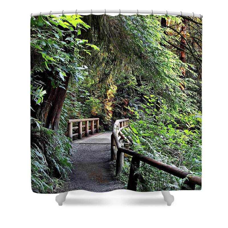 Alex Lyubar Shower Curtain featuring the photograph Wooden bridge on a firest hiking trail by Alex Lyubar