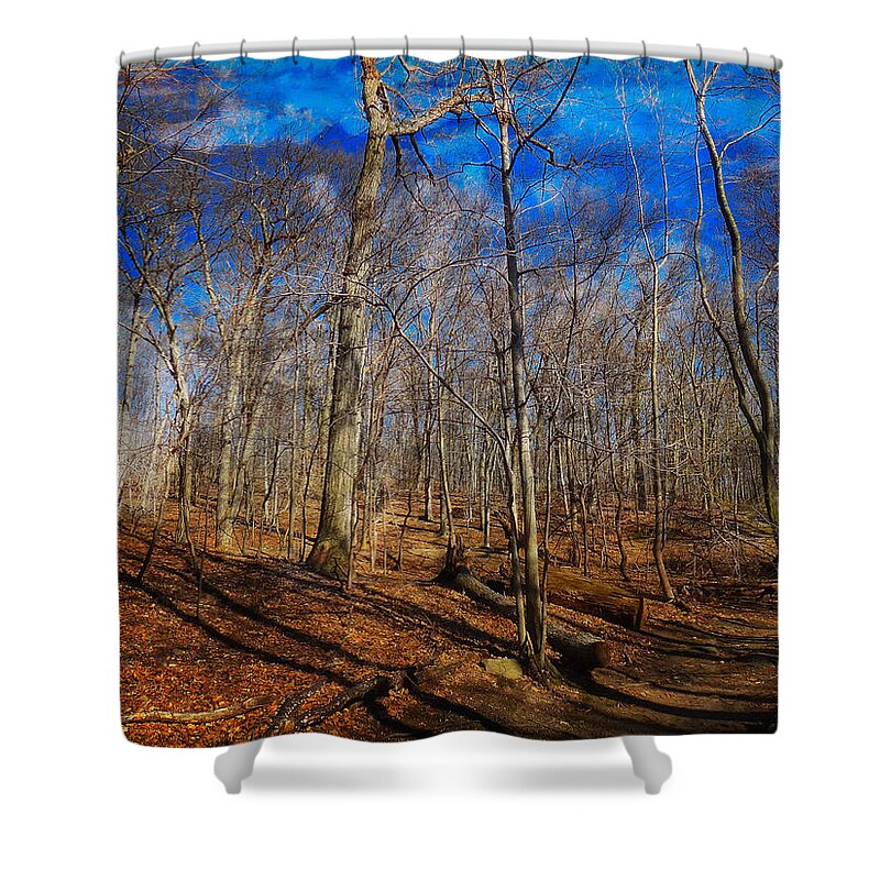 Woods Shower Curtain featuring the digital art Woods with Deep Blue Sky by Russ Considine