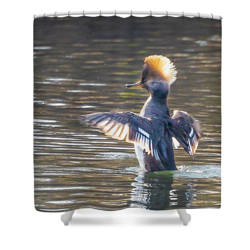 Boise Idaho Shower Curtain featuring the photograph Working Out by Mark Mille