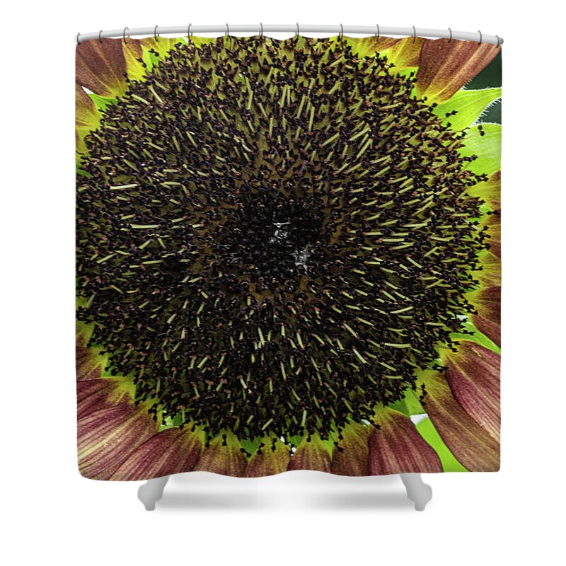 Yellow Red Flower Shower Curtain featuring the photograph Yellow and Red Flower by David Morehead