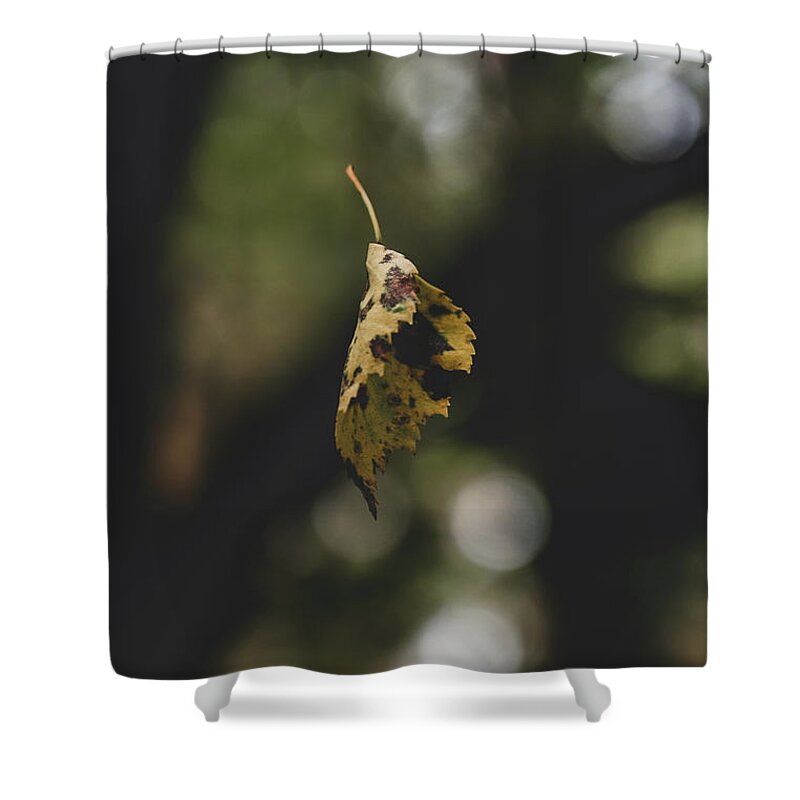 Abstract Shower Curtain featuring the photograph Yellow Autumnal Leaf Suspended in midair by Scott Lyons