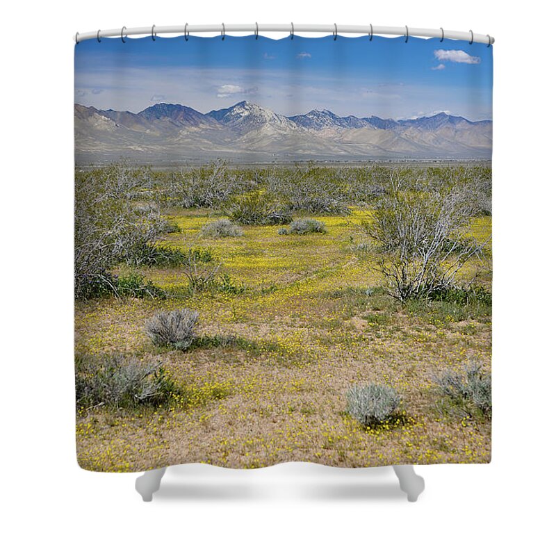 Spring Shower Curtain featuring the photograph Yellow Carpet on Mojave Desert by Bonnie Colgan