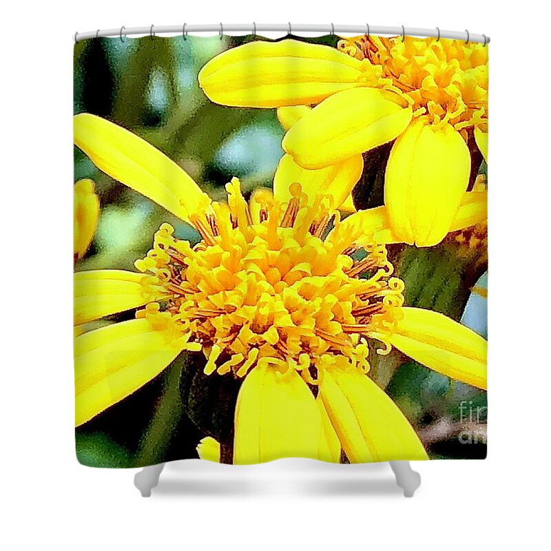 Yellow Dazzle Floral Shower Curtain featuring the photograph Yellow Dazzle Floral by Carol Riddle