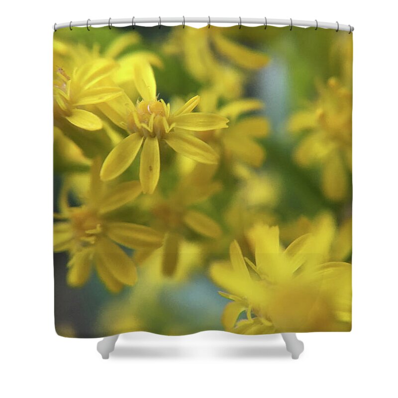 Springtime Shower Curtain featuring the photograph Yellow Flowers by K Bradley Washburn