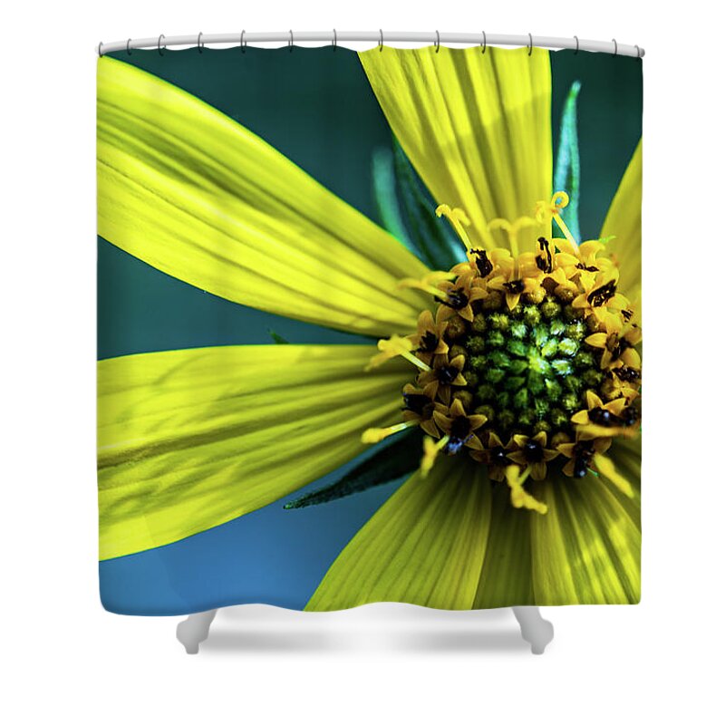 Plants Shower Curtain featuring the photograph Yellow Flowers - Summer in Bloom by Amelia Pearn
