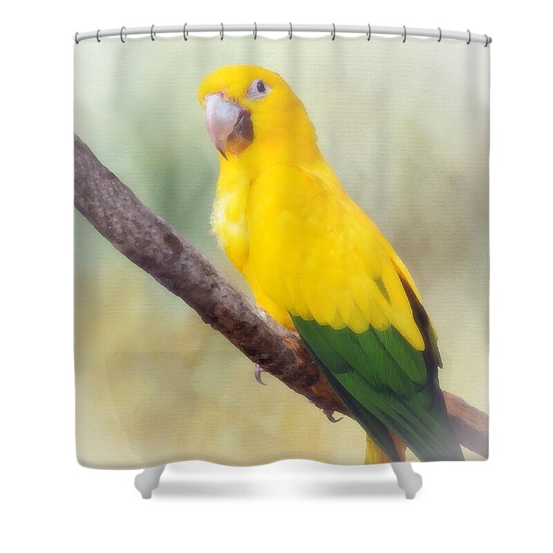 Bird Shower Curtain featuring the mixed media Yellow Green Parrot Bird 83 by Lucie Dumas