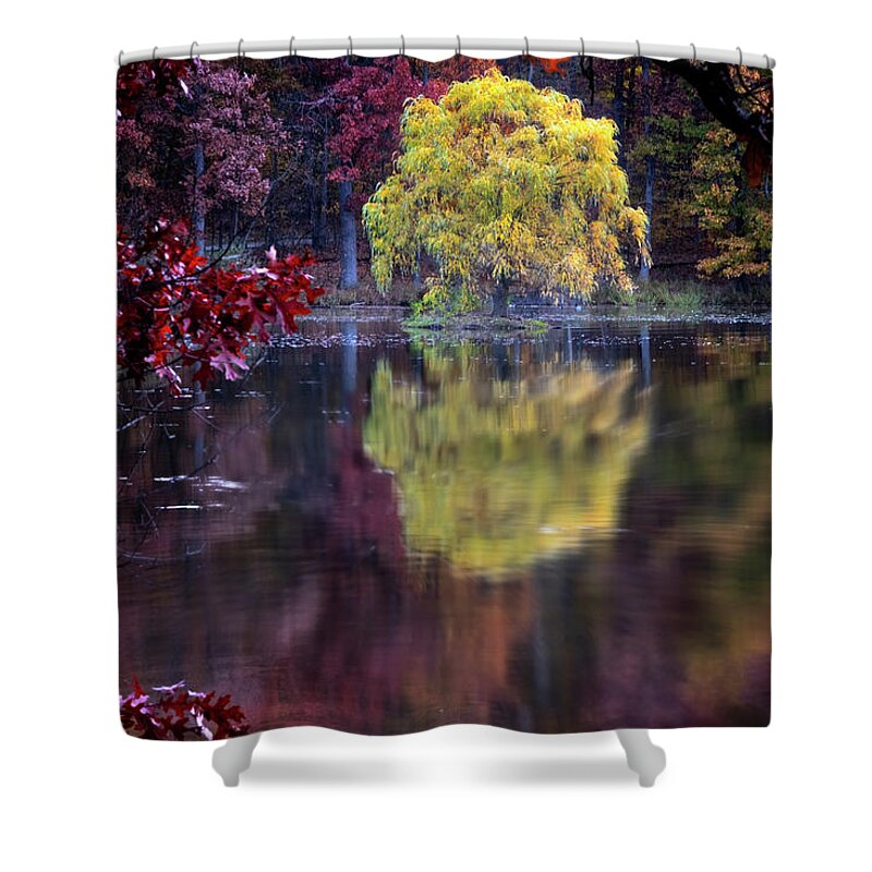 Lake Reflection Shower Curtain featuring the photograph Yellow Reflection by Tom Singleton