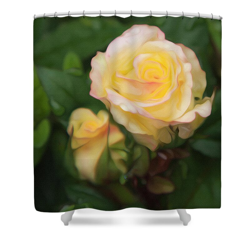 Yellow Rose Shower Curtain featuring the photograph Yellow Rose by Theresa Tahara