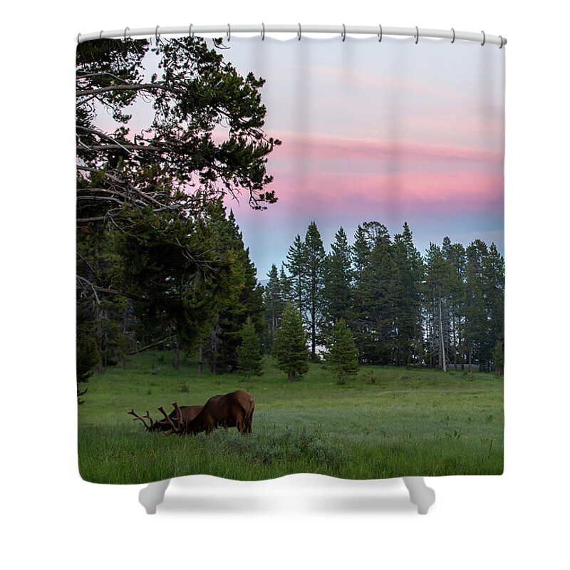 Yellowstone Shower Curtain featuring the photograph Yellowstone Sunset by Erin Marie Davis
