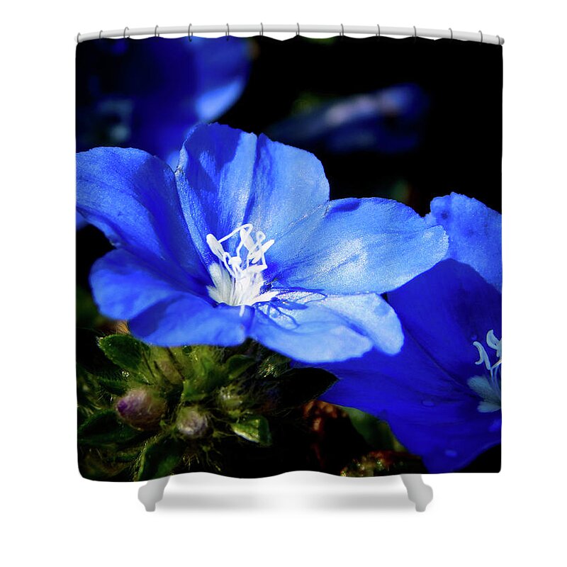 Blue Shower Curtain featuring the photograph You Blue My Mind by Gena Herro
