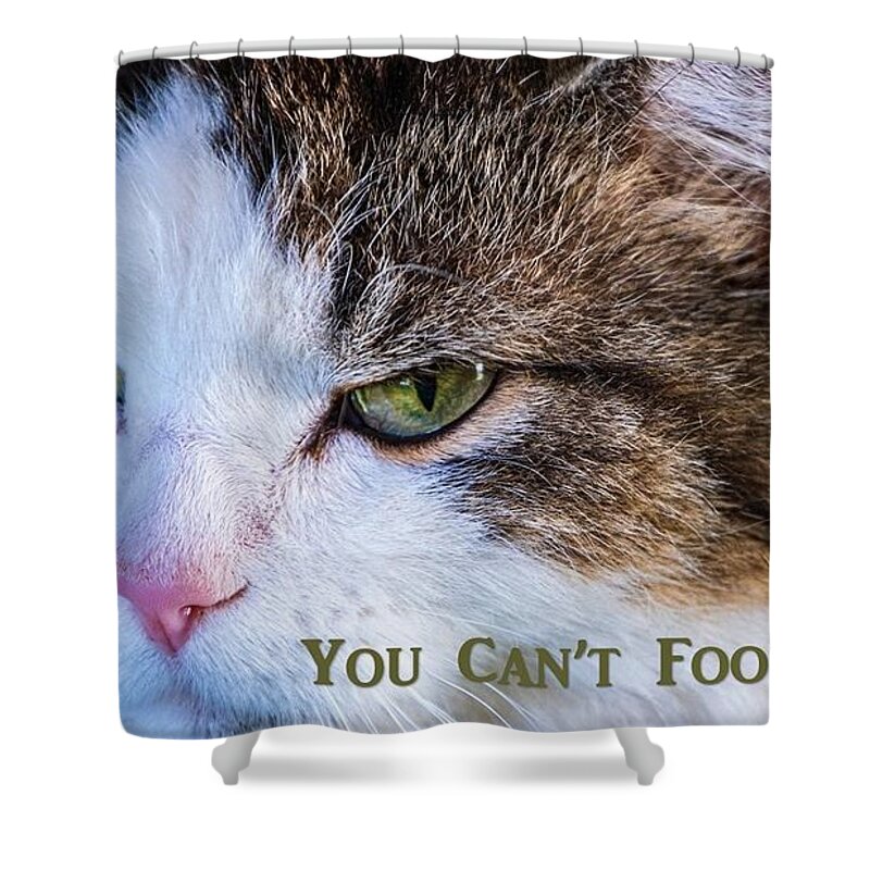 Cat Shower Curtain featuring the photograph You Can't Fool Me by Nancy Ayanna Wyatt