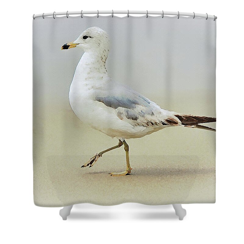 Bird Shower Curtain featuring the digital art You Go Gull by Gaby Ethington
