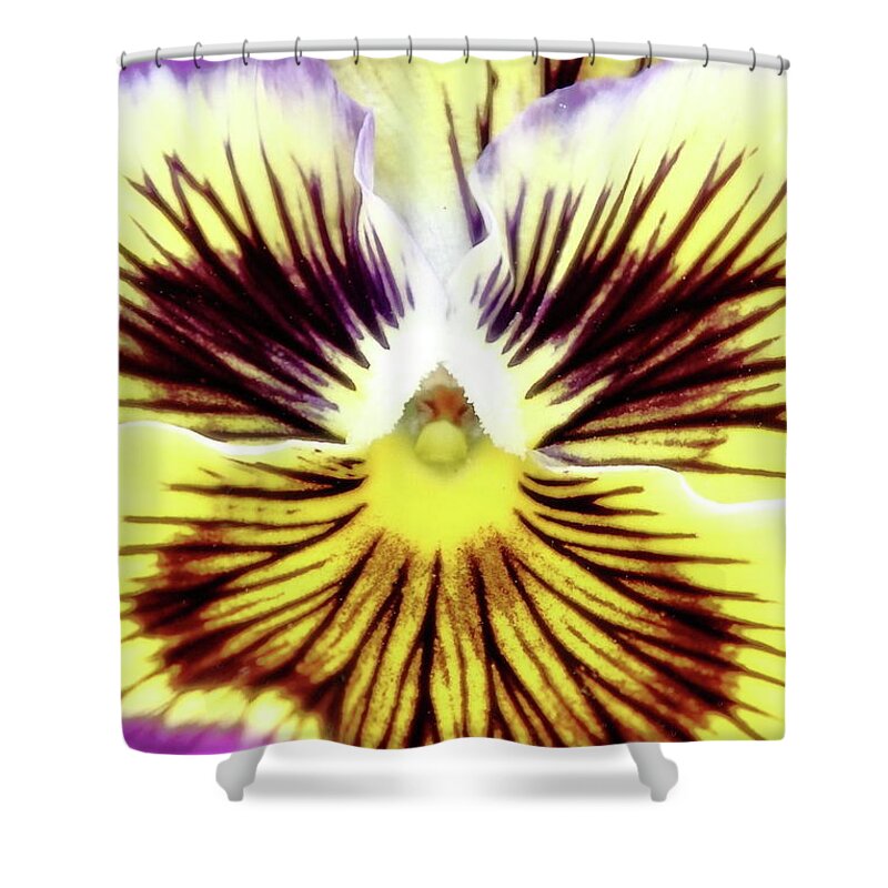Floral Shower Curtain featuring the photograph You Pansy by Lens Art Photography By Larry Trager