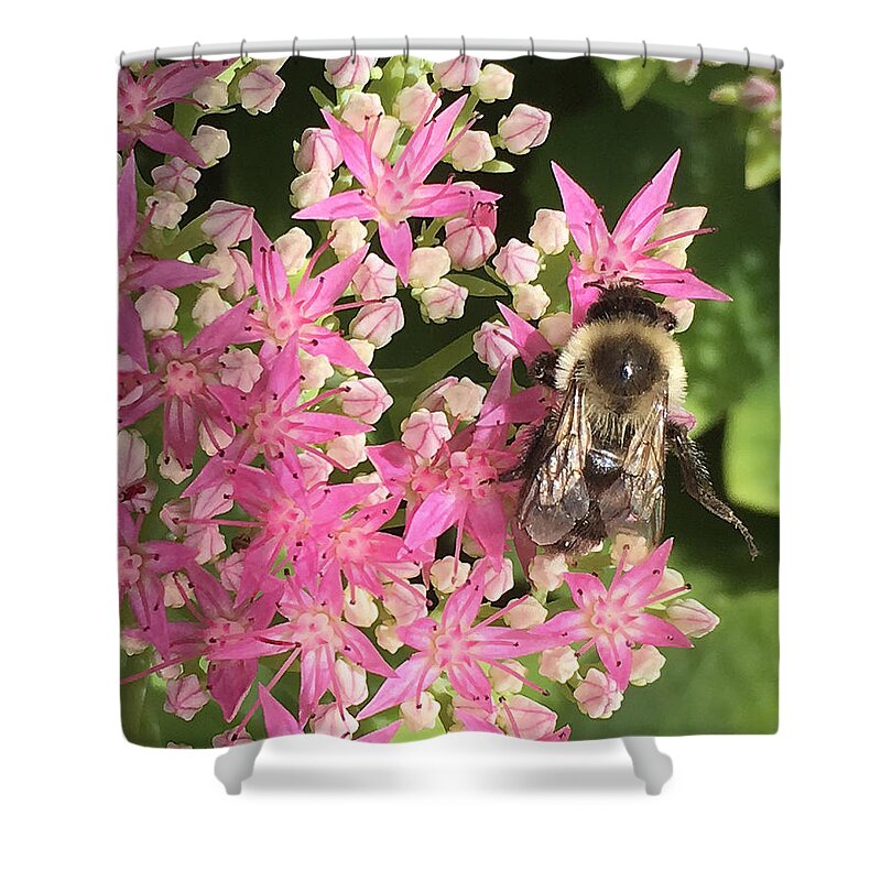 Bumble Bee Shower Curtain featuring the photograph You Put Your Right Foot Out by Deborah League
