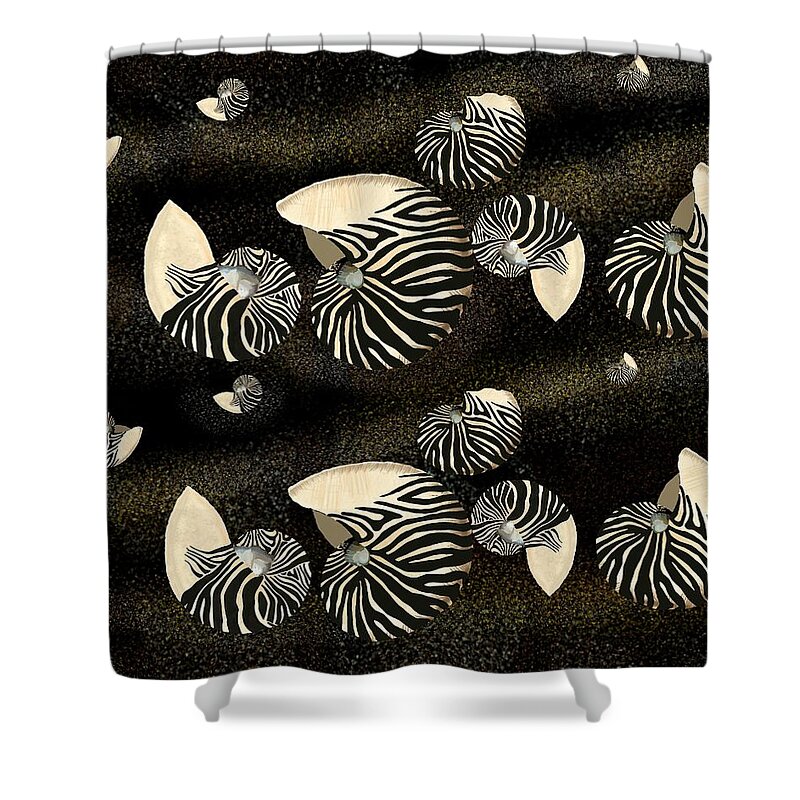 Nautilus Shell Shower Curtain featuring the drawing Zebra Pattern Nautilus Seashells Collection by Joan Stratton