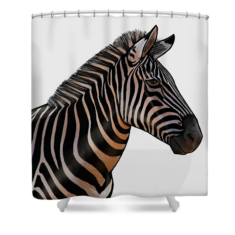 Zebra Shower Curtain featuring the painting Zebra Portrait by Judy Cuddehe