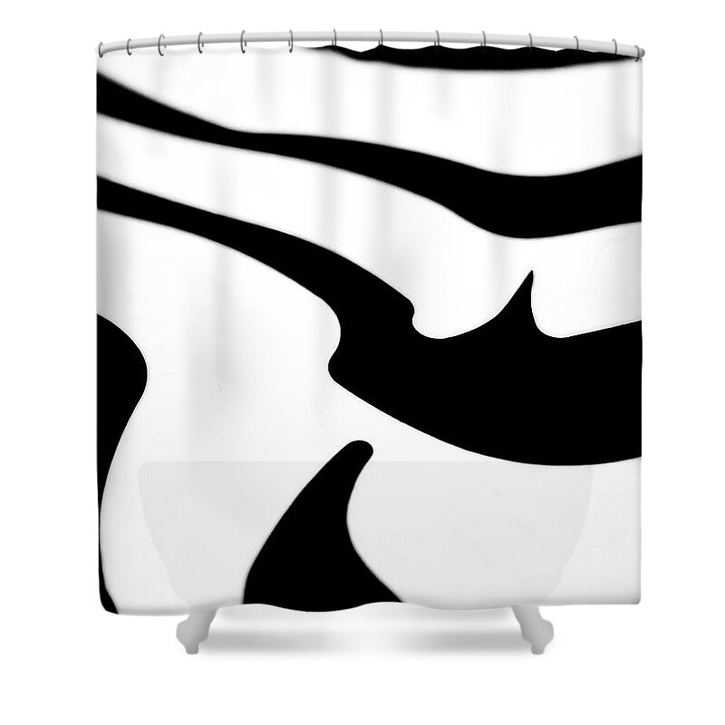 Zebra Shower Curtain featuring the photograph Zebra rock by Al Fio Bonina