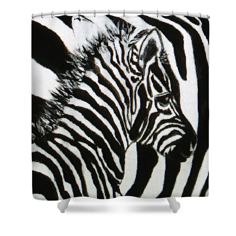 Art Shower Curtain featuring the painting Zebra by Tammy Pool