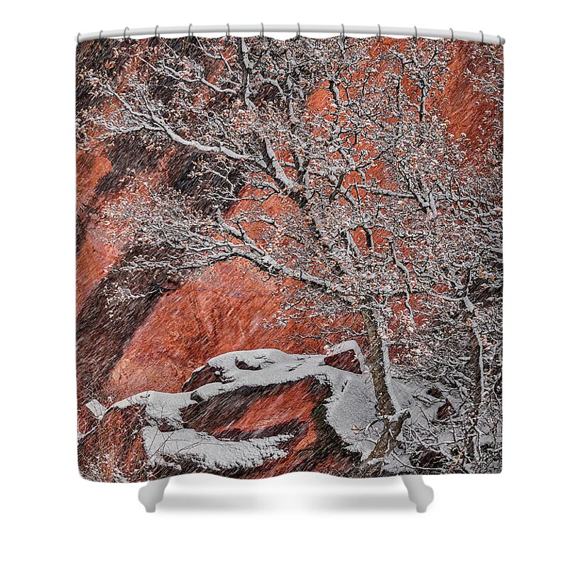 Utah Shower Curtain featuring the photograph Zion Winter 1 by Robert Fawcett