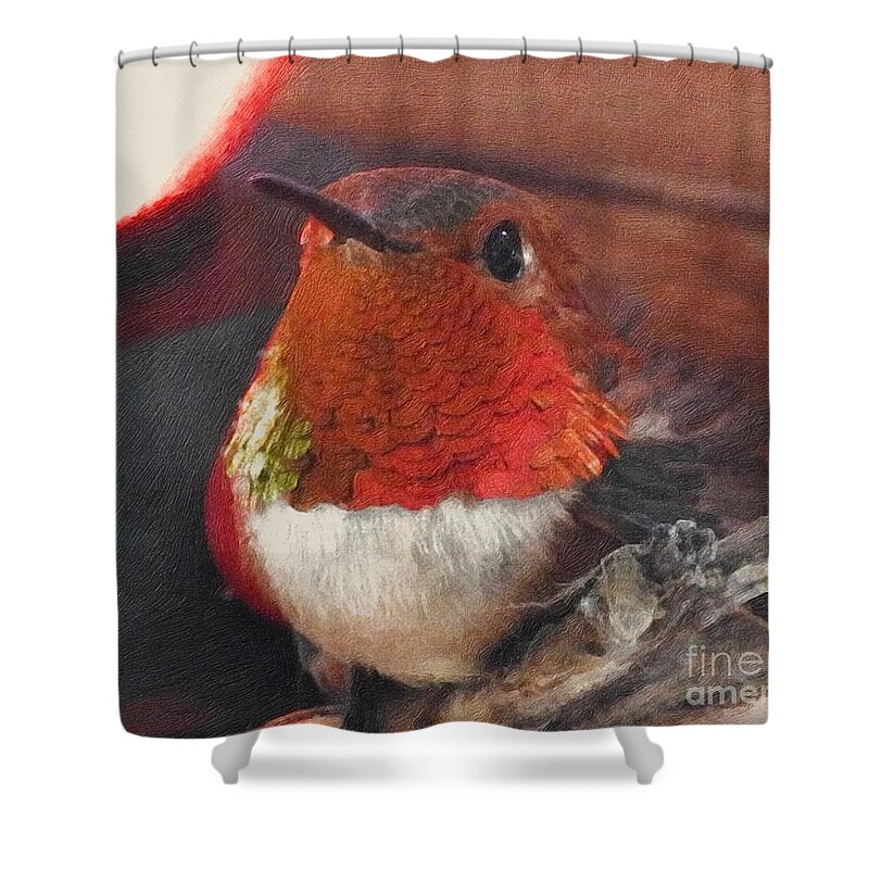 Hummingbird Shower Curtain featuring the photograph Hope is the thing with feathers by Nicola Finch